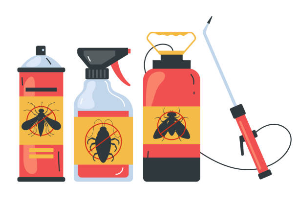 Best Spider Control Near Me  in Jeffersonville, OH