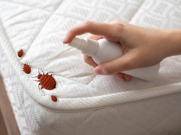 Best Local Pest Control Services  in Jeffersonville, OH