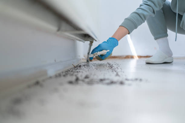 Best Wildlife Control Services  in Jeffersonville, OH